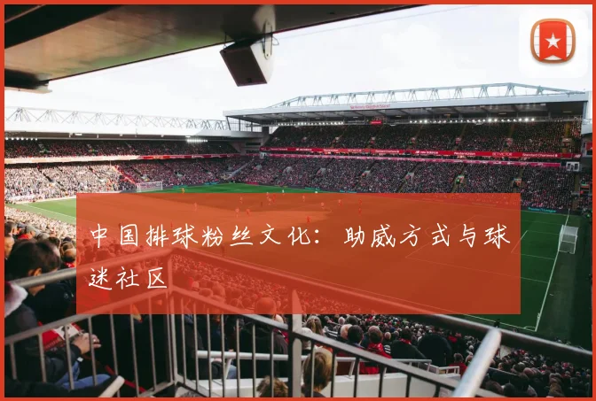 中国排球粉丝文化:助威方式与球迷社区