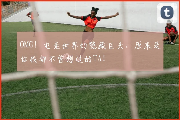 OMG!电竞世界的隐藏巨头,原来是你我都不曾想过的TA!