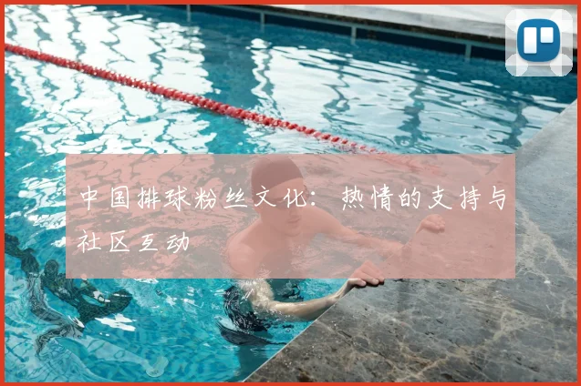 中国排球粉丝文化:热情的支持与社区互动