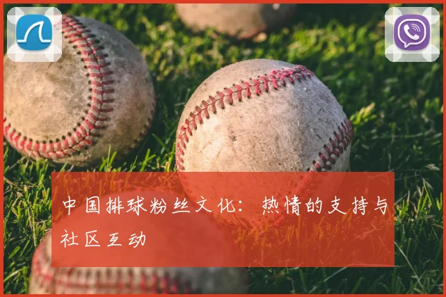 中国排球粉丝文化:热情的支持与社区互动