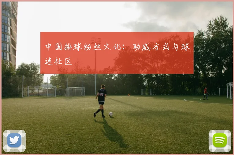 中国排球粉丝文化:助威方式与球迷社区